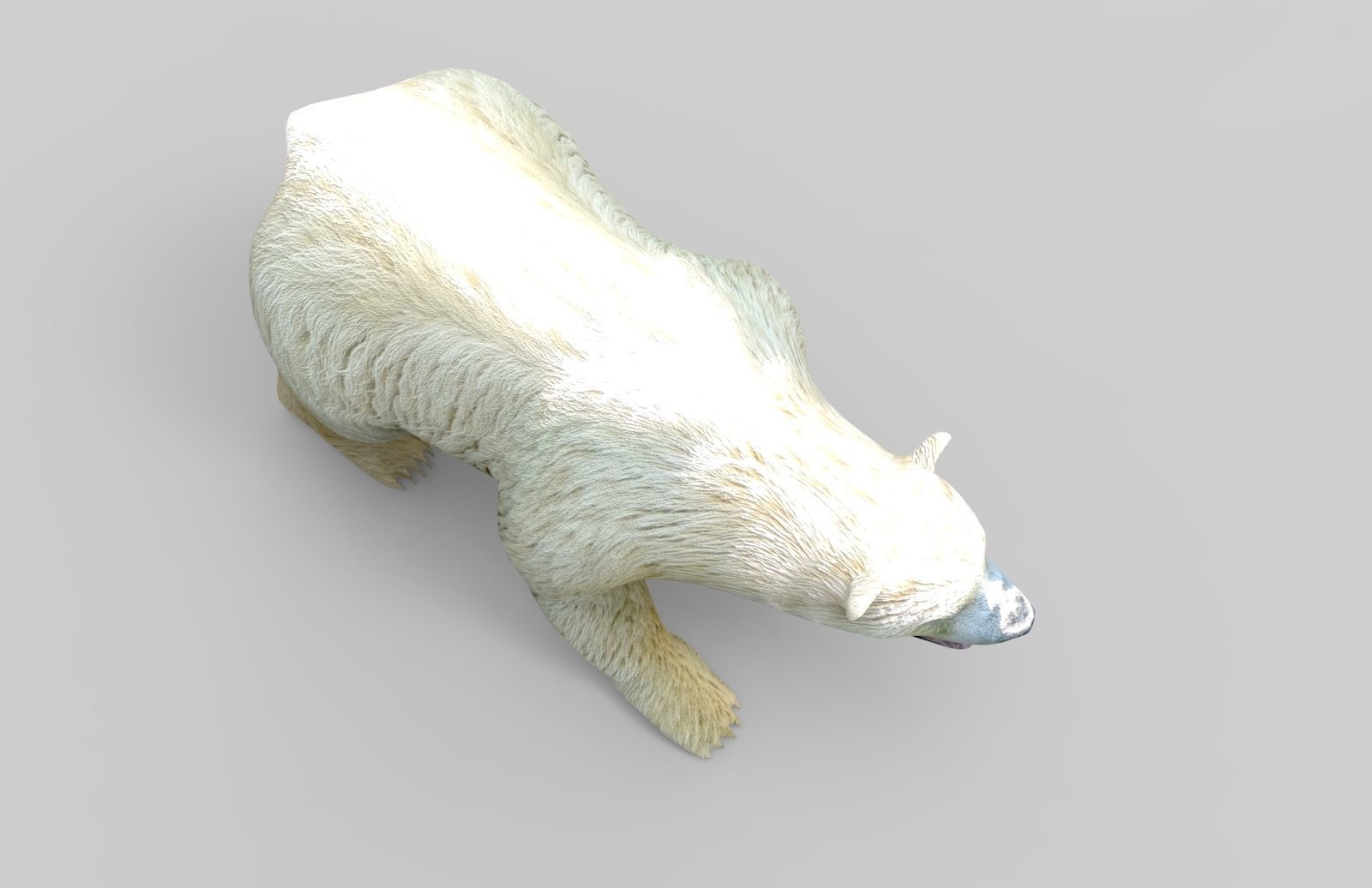 3D White Beer Rigged Model Low-poly 3D model_14