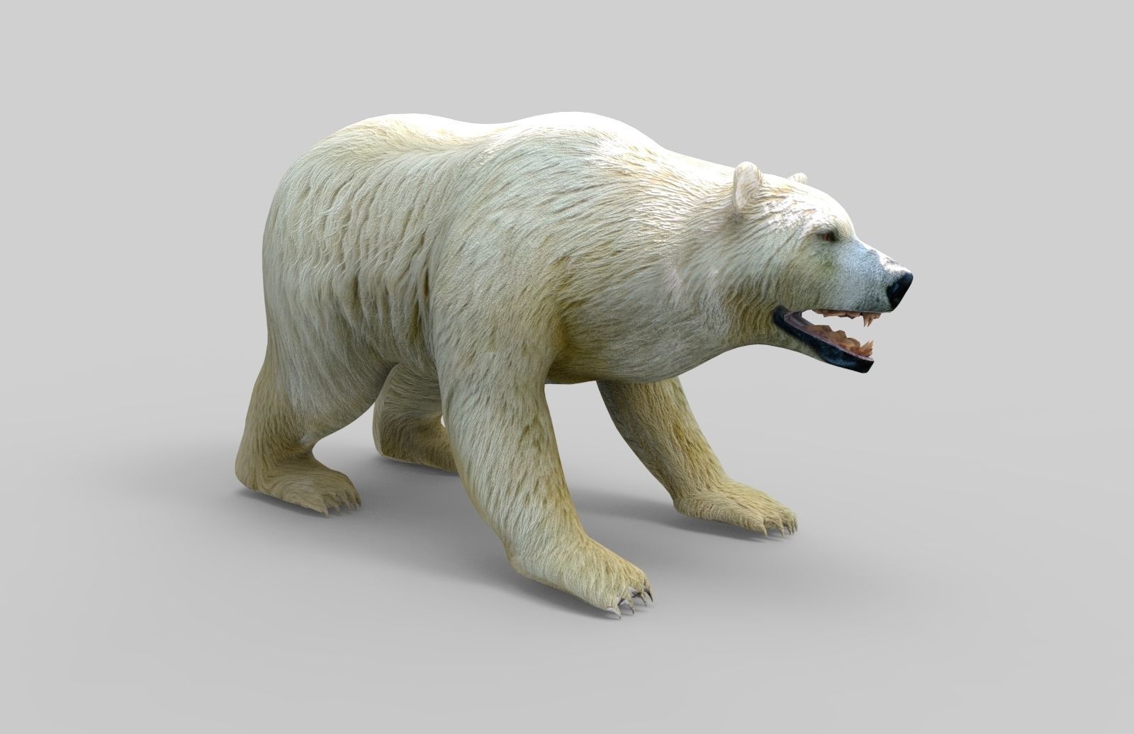 3D White Beer Rigged Model Low-poly 3D model_12