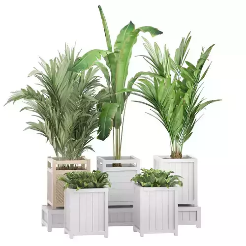 Flower Pack 118 3D model