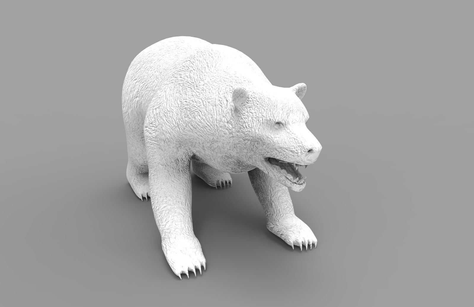 3D model brownbear animal 3d model VR / AR / lowpoly rigged CGTrader