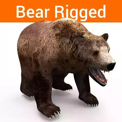 brown-bear animal 3d model  Low-poly 3D model