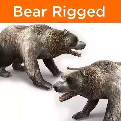 Bear Rigged 3D Models game ready  Low-poly 3D model