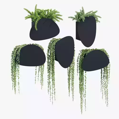Pavo planters 3D model
