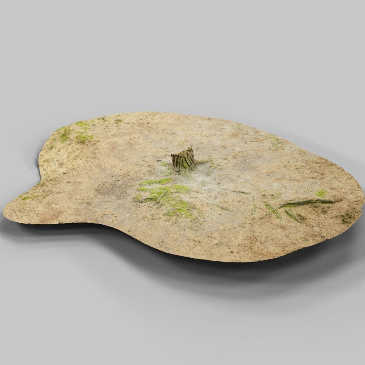 Ground cover Pine Low-poly 3D model_0