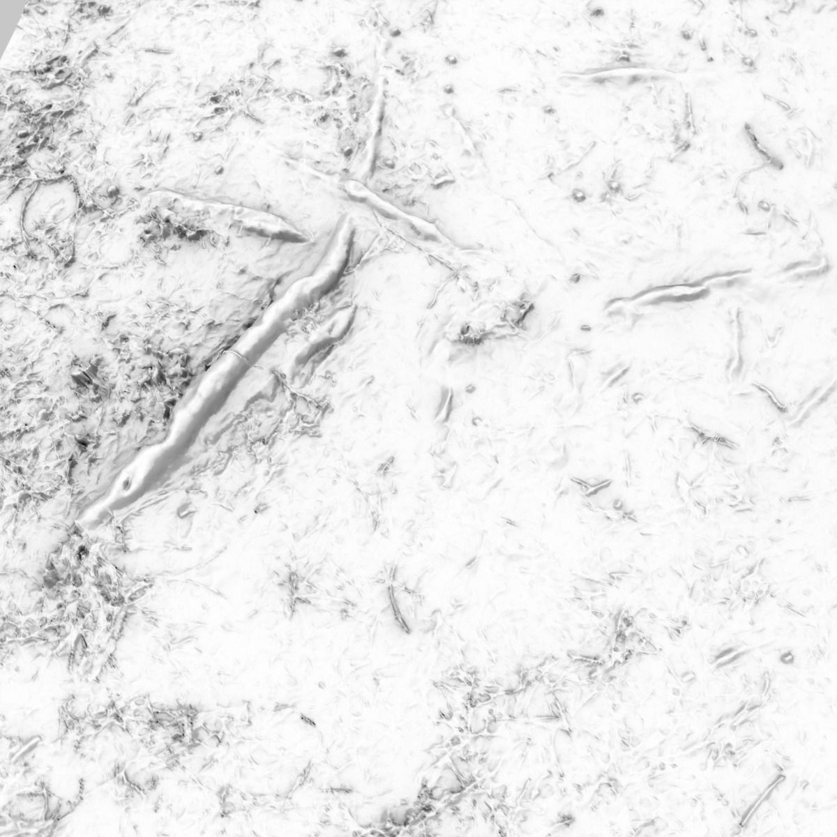 Ground cover Pine Low-poly 3D model_6