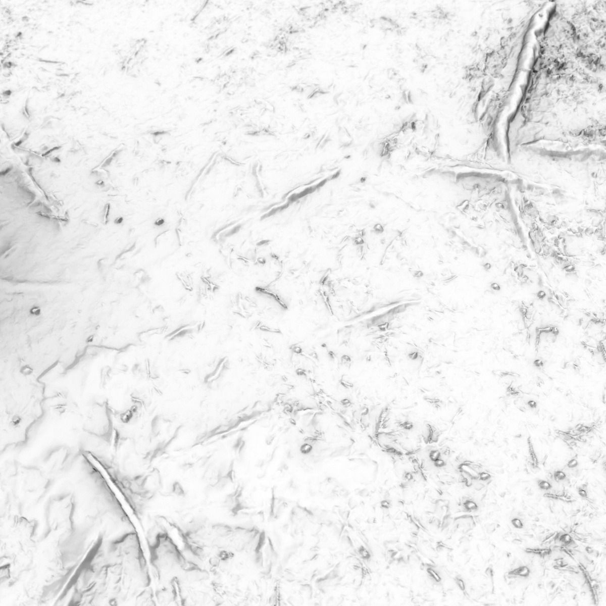 Ground cover Pine Low-poly 3D model_7