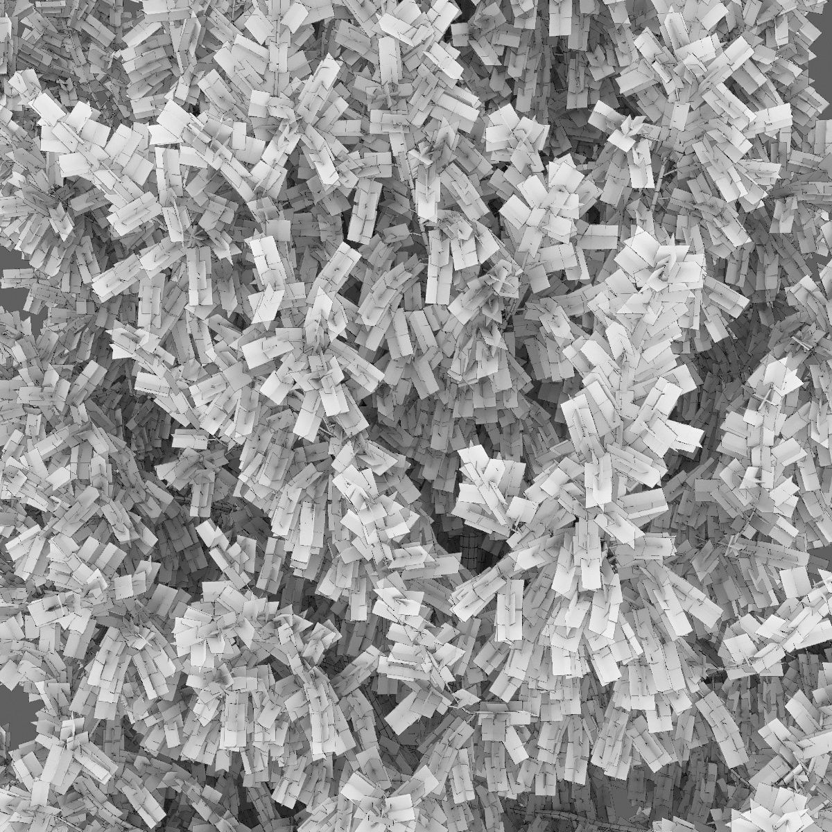 Juniperus Communis 03 3D model_3