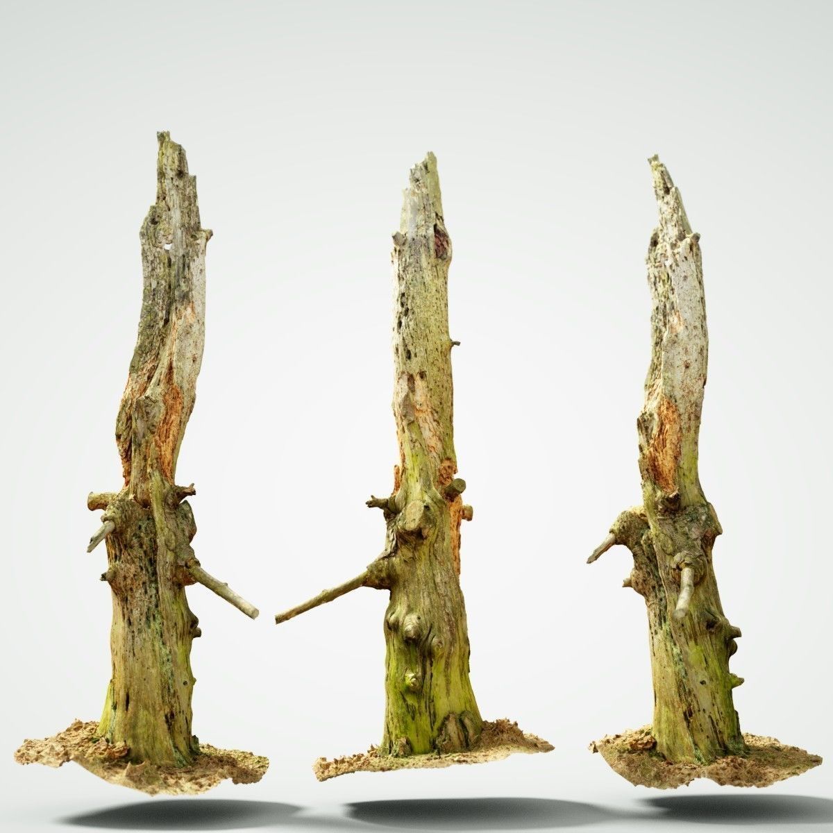 Arrow Shaped Tree Stump Low-poly 3D model_1