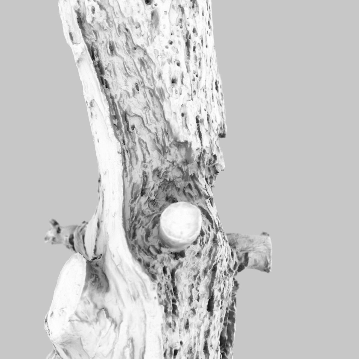 Arrow Shaped Tree Stump Low-poly 3D model_14