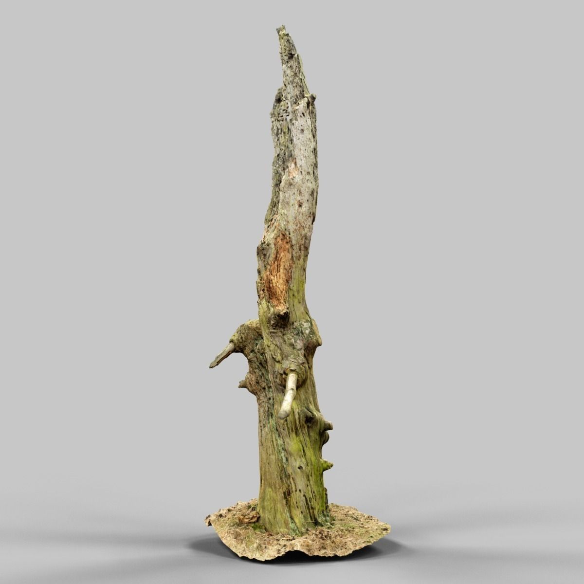 Arrow Shaped Tree Stump Low-poly 3D model_8
