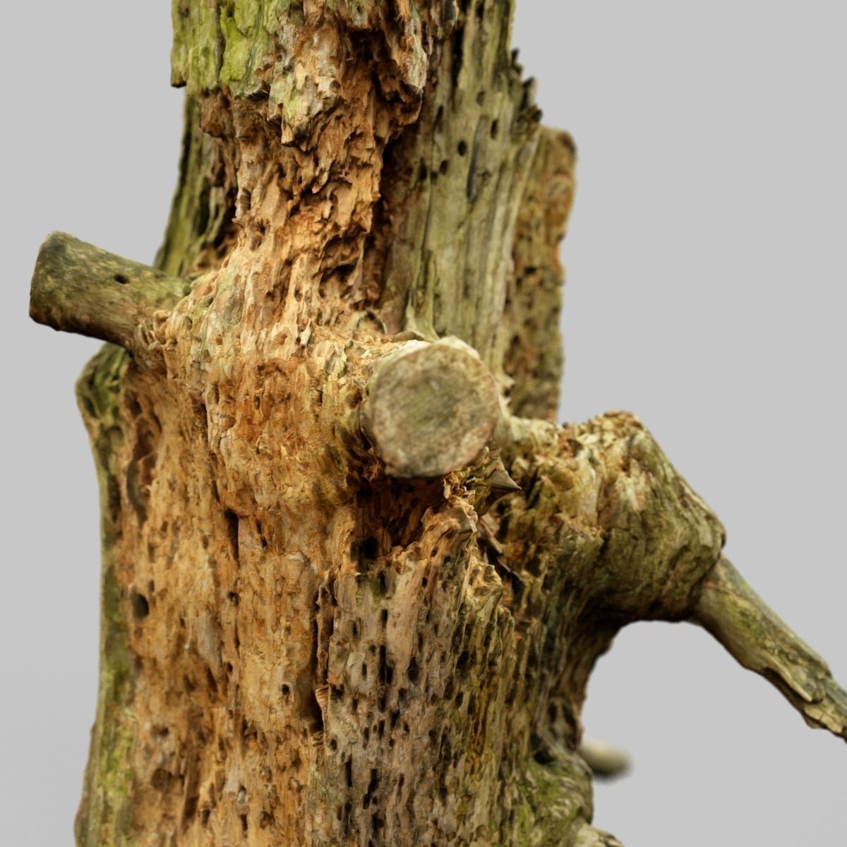 Arrow Shaped Tree Stump Low-poly 3D model_7