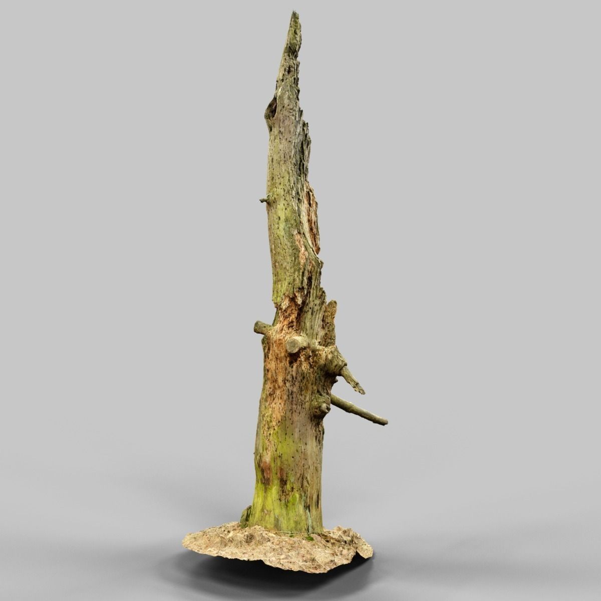 Arrow Shaped Tree Stump Low-poly 3D model_11