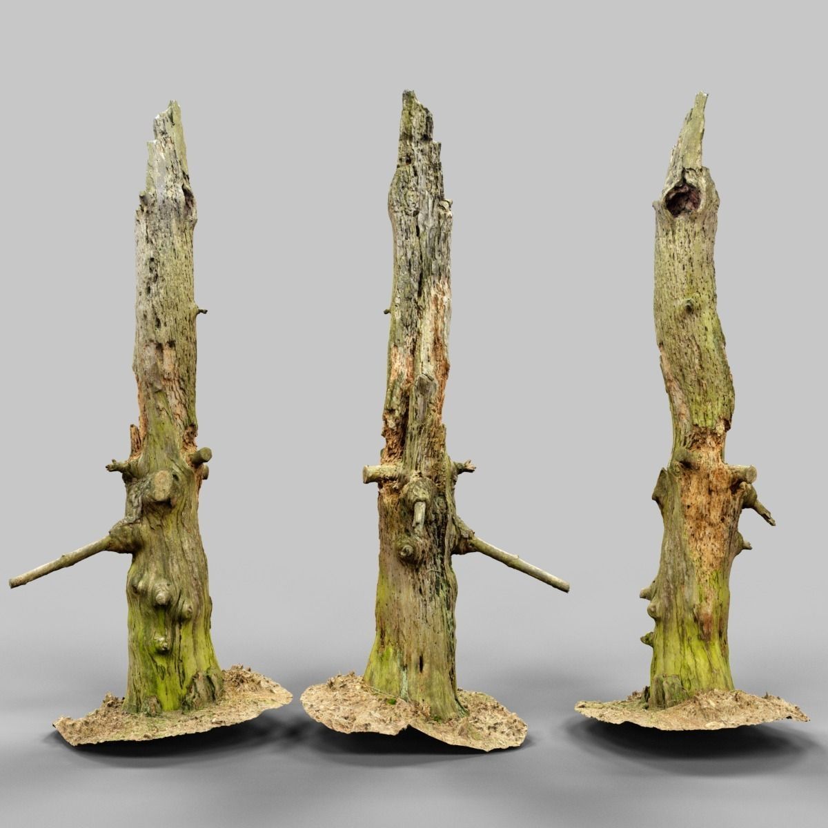 Arrow Shaped Tree Stump Low-poly 3D model_6
