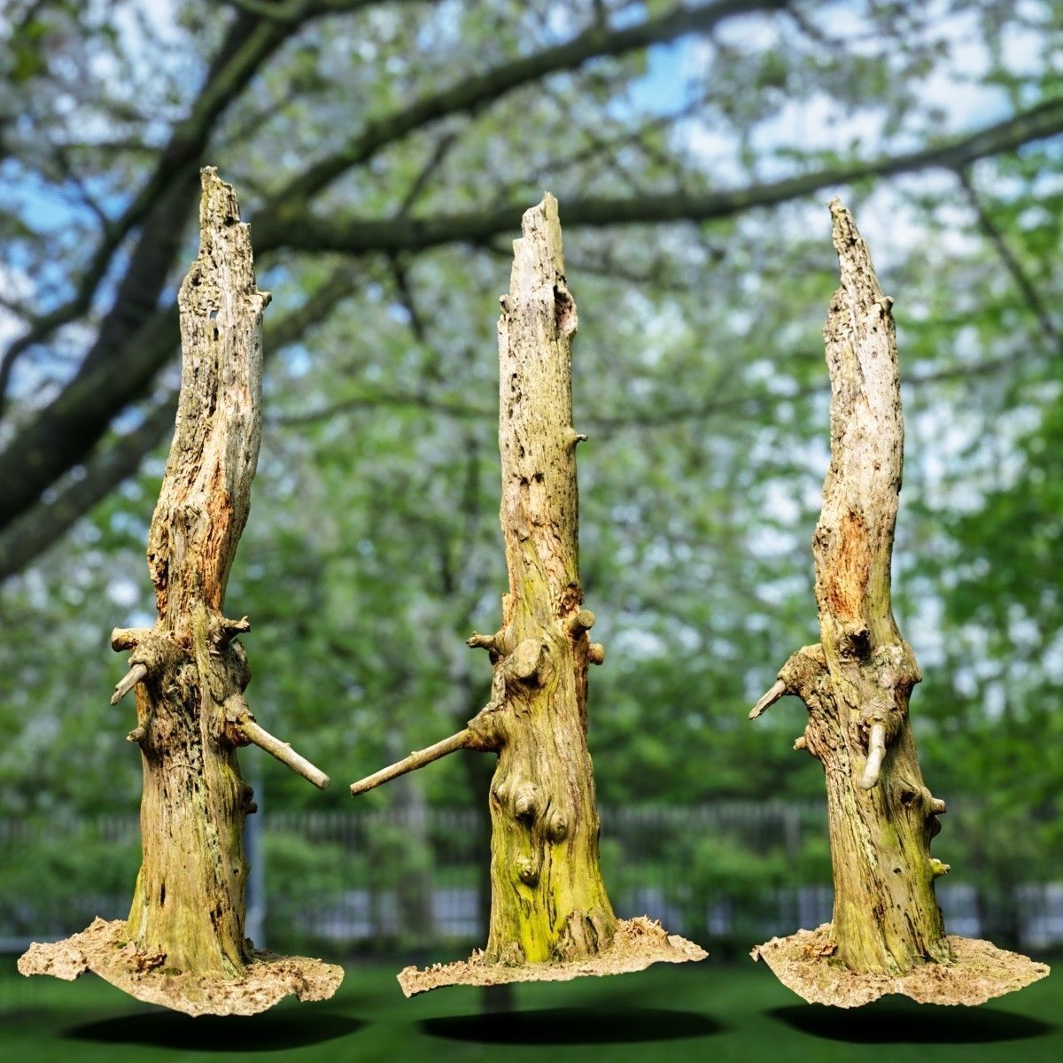 Arrow Shaped Tree Stump Low-poly 3D model_2