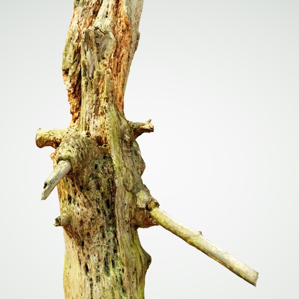 Arrow Shaped Tree Stump Low-poly 3D model_4