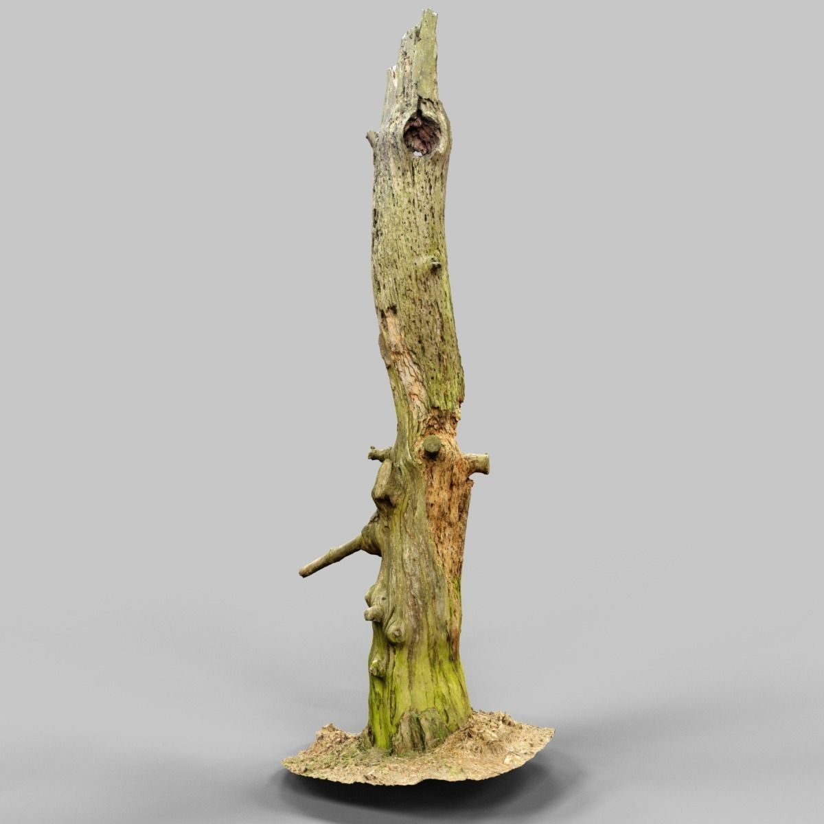 Arrow Shaped Tree Stump Low-poly 3D model_10