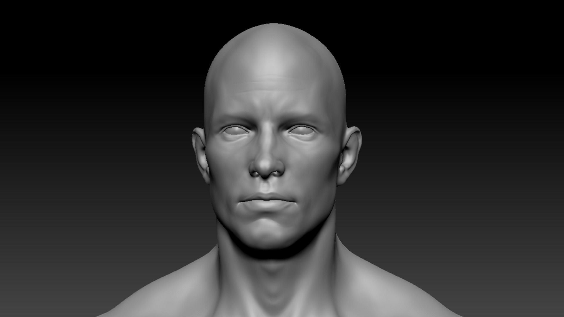 Male Anatomy Figure 3D model_3