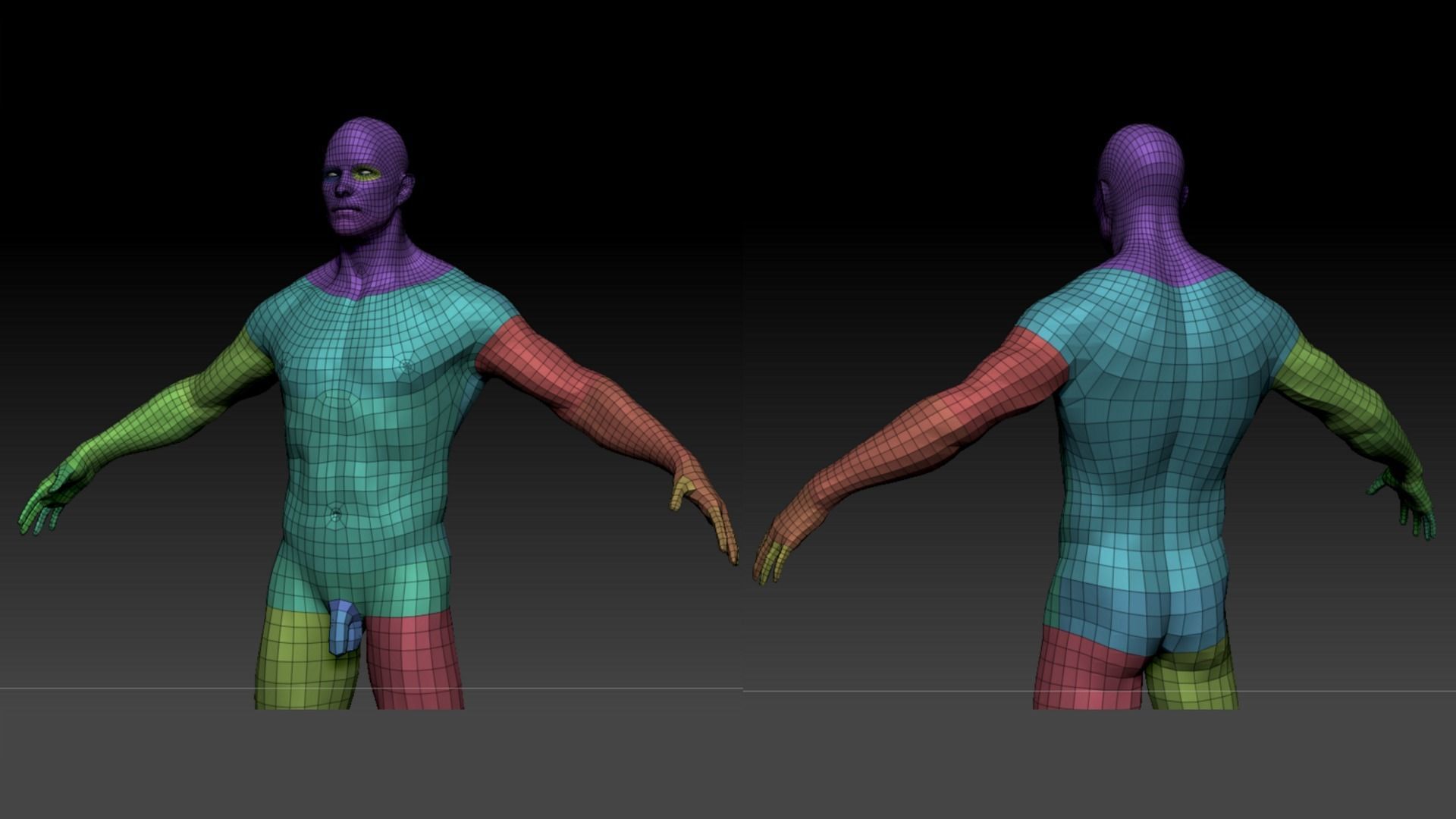 Male Anatomy Figure 3D model_5