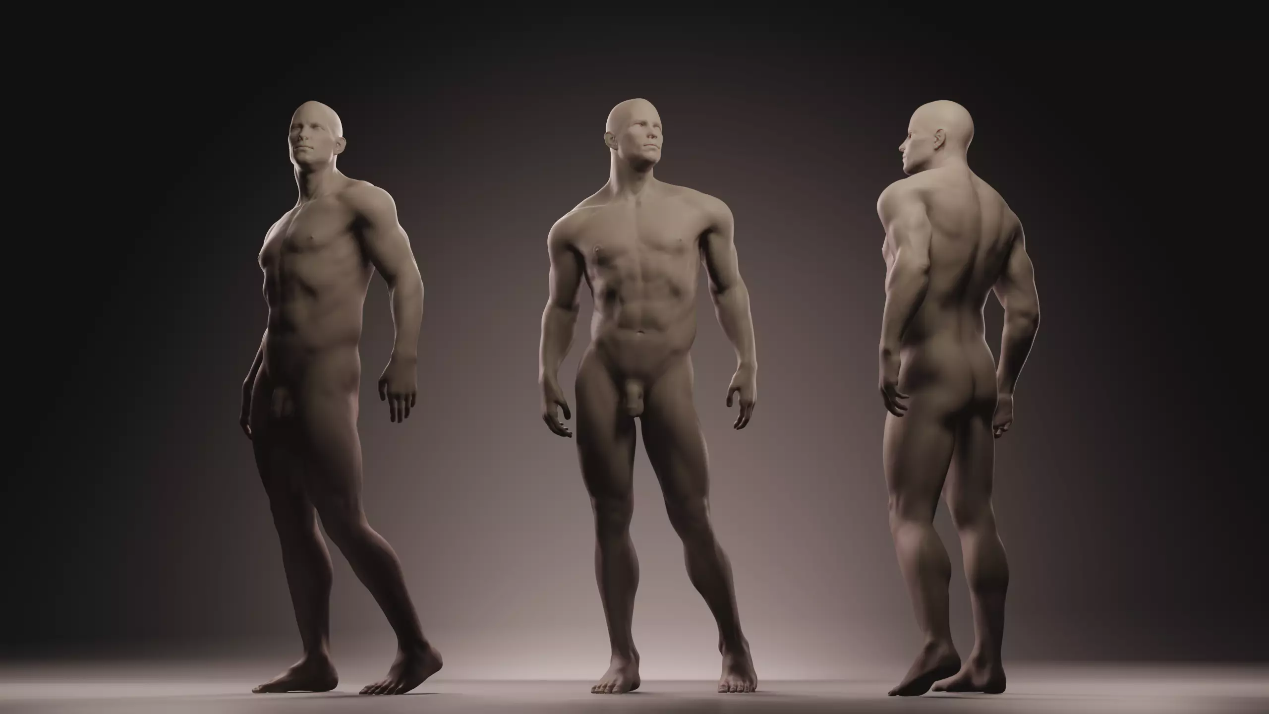 Male Anatomy Figure 3D model_0