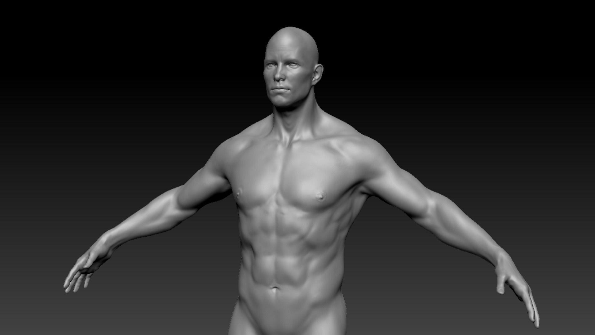 Male Anatomy Figure 3D model_2