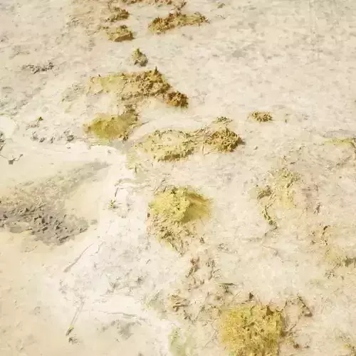 Beach Realistic Nature Environment