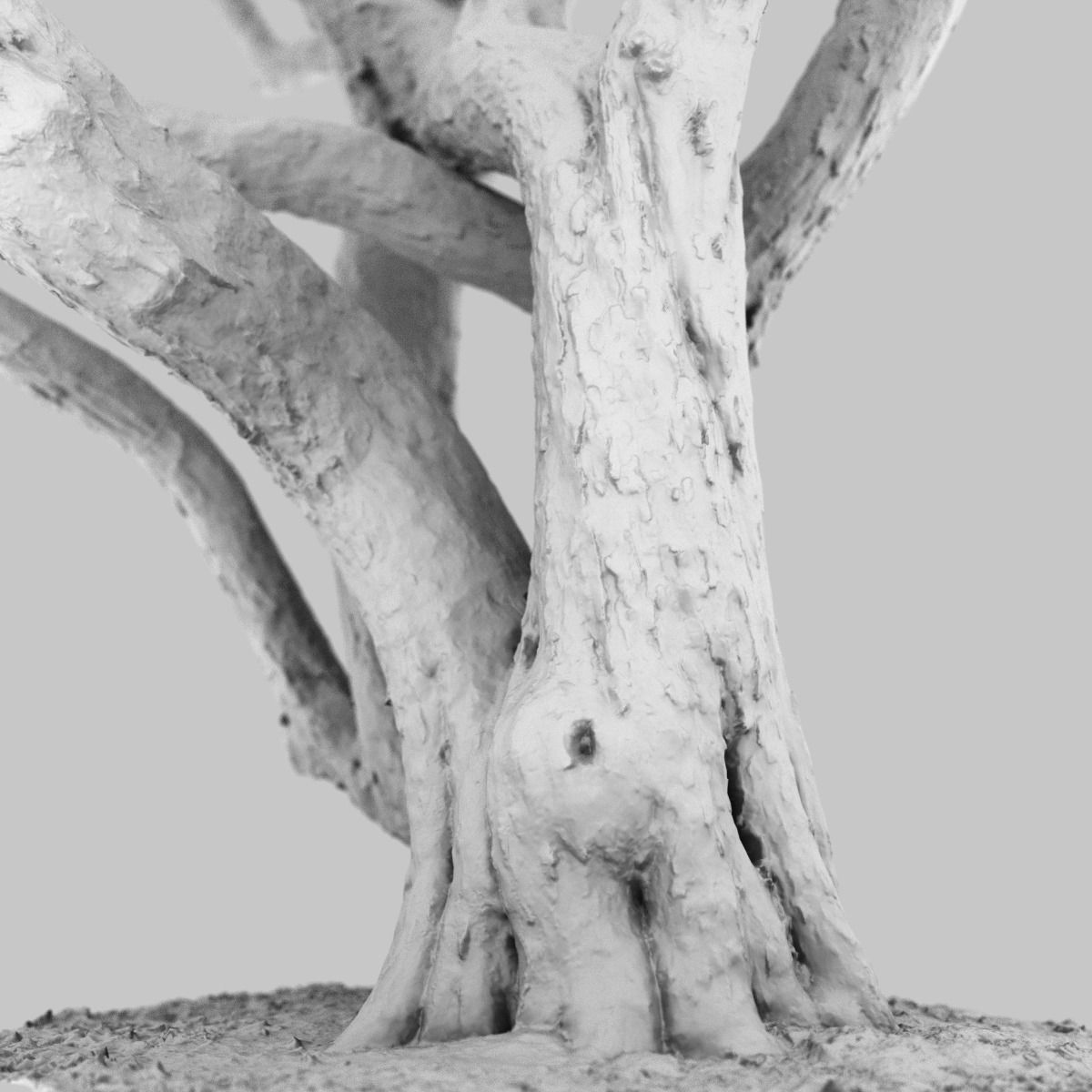 Huge Tree Environment Reference Asset Low-poly 3D model_12