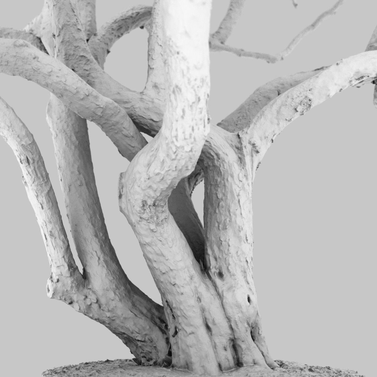 Huge Tree Environment Reference Asset Low-poly 3D model_13