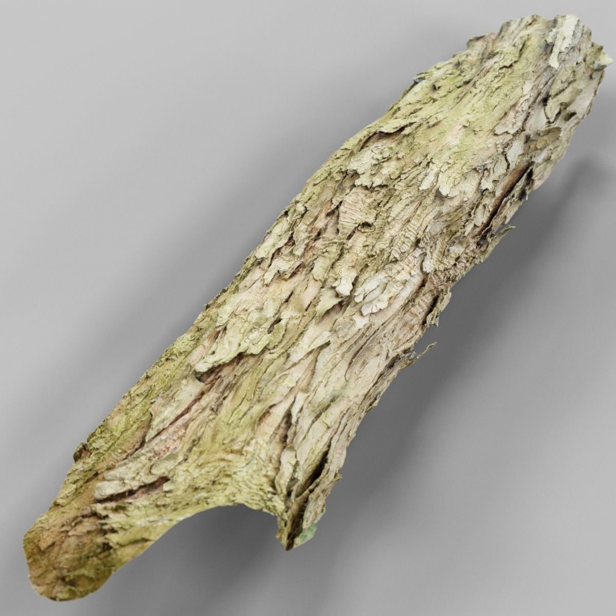Photorealistic Bark Sample Low-poly 3D model_9