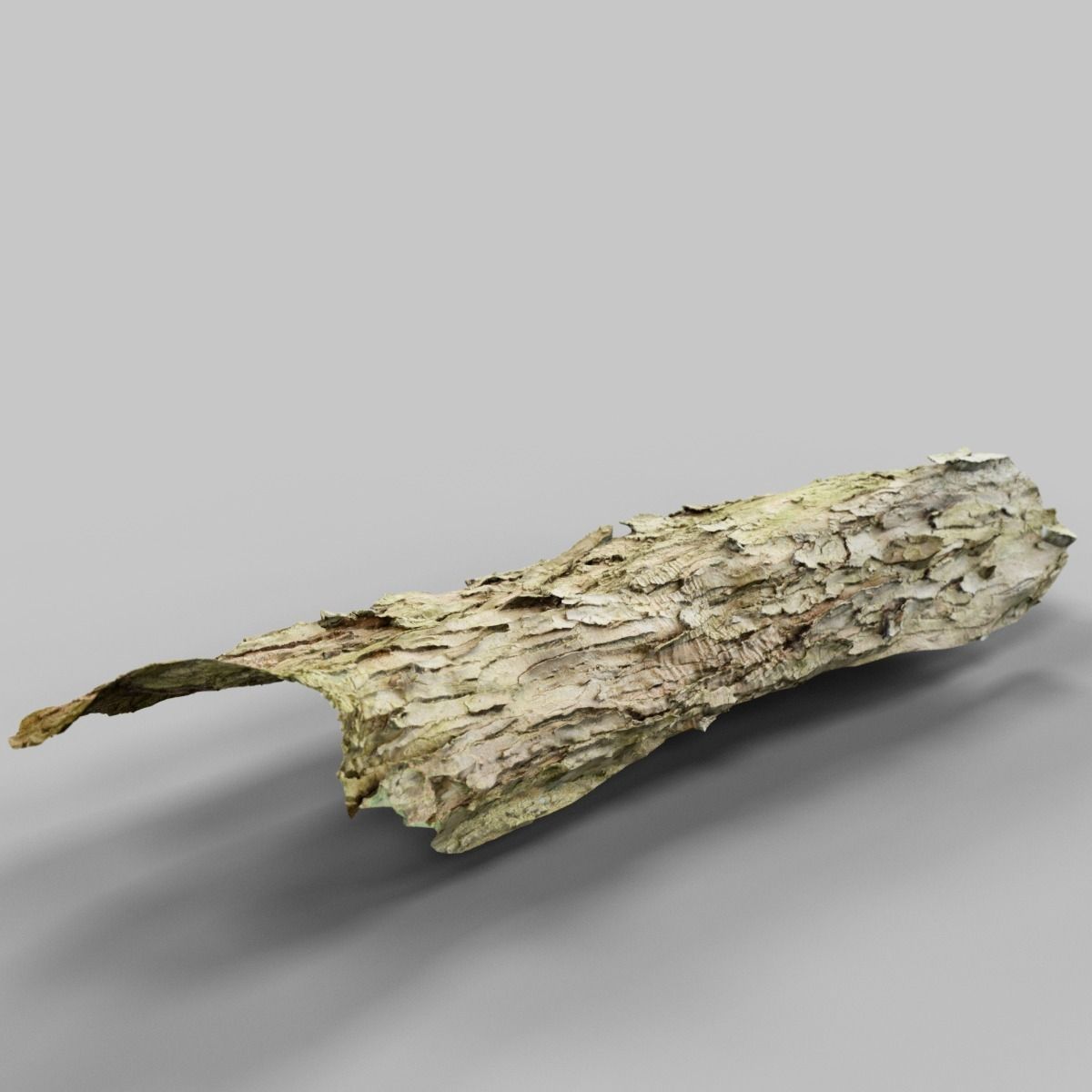 Photorealistic Bark Sample Low-poly 3D model_7