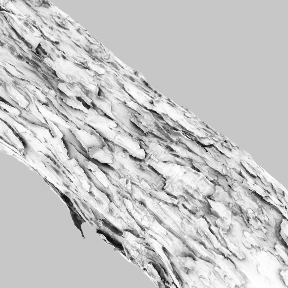 Photorealistic Bark Sample Low-poly 3D model_12
