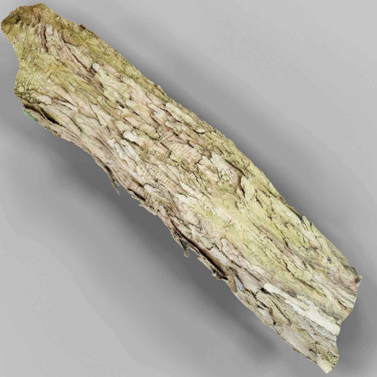 Photorealistic Bark Sample Low-poly 3D model_10