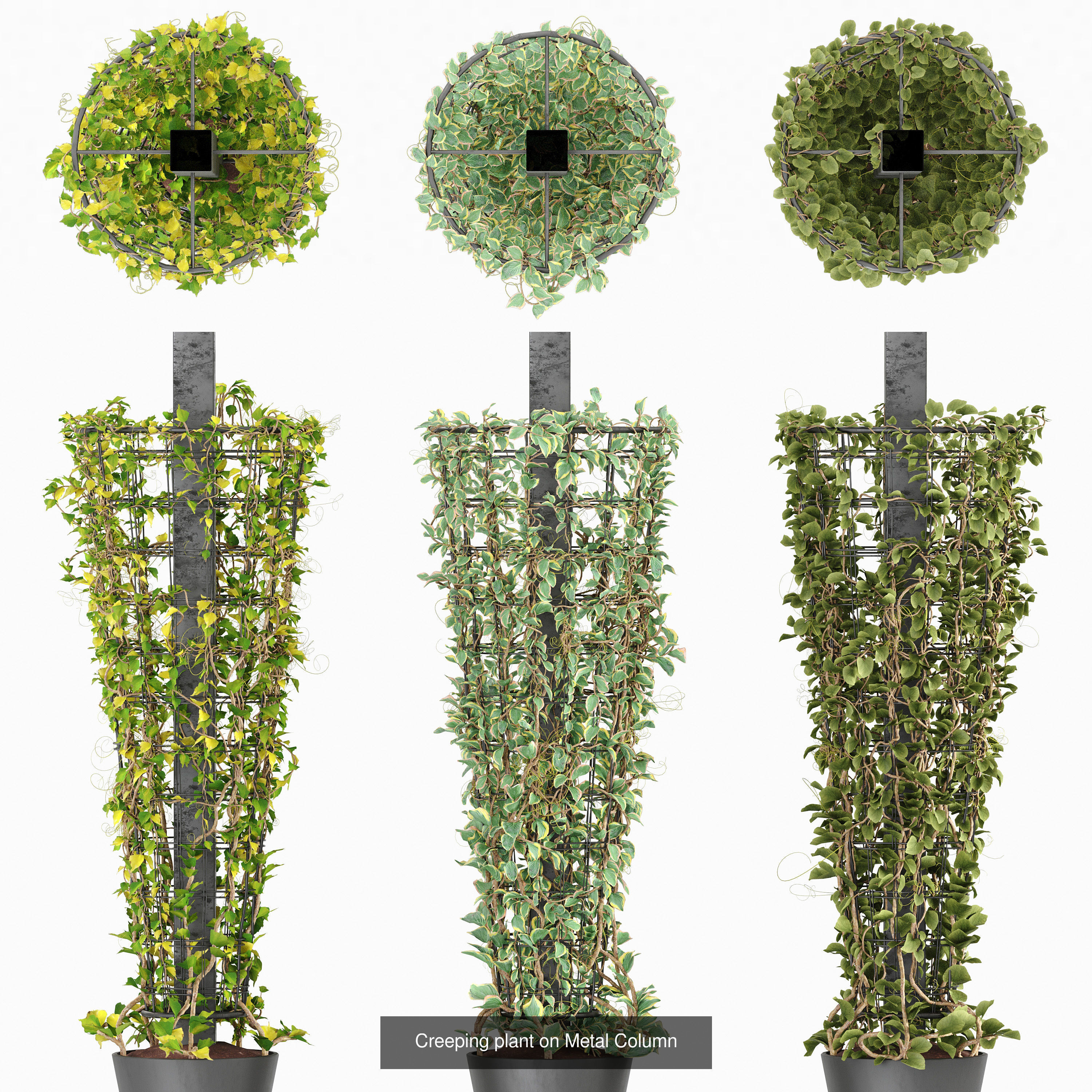 Hemase MegaPack - One purchase unlimited access 3D Model Collection_147