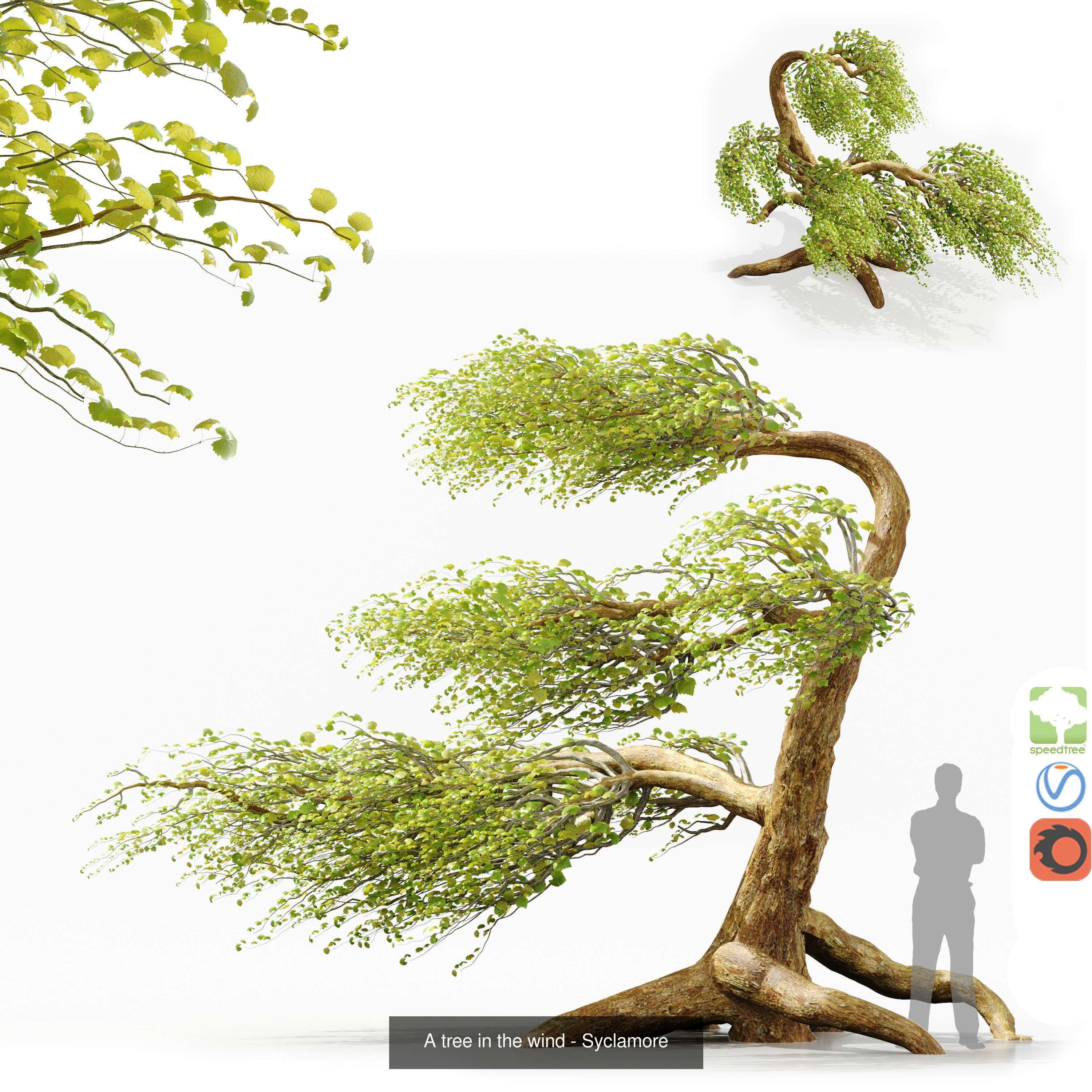 Hemase MegaPack - One purchase unlimited access 3D Model Collection_135