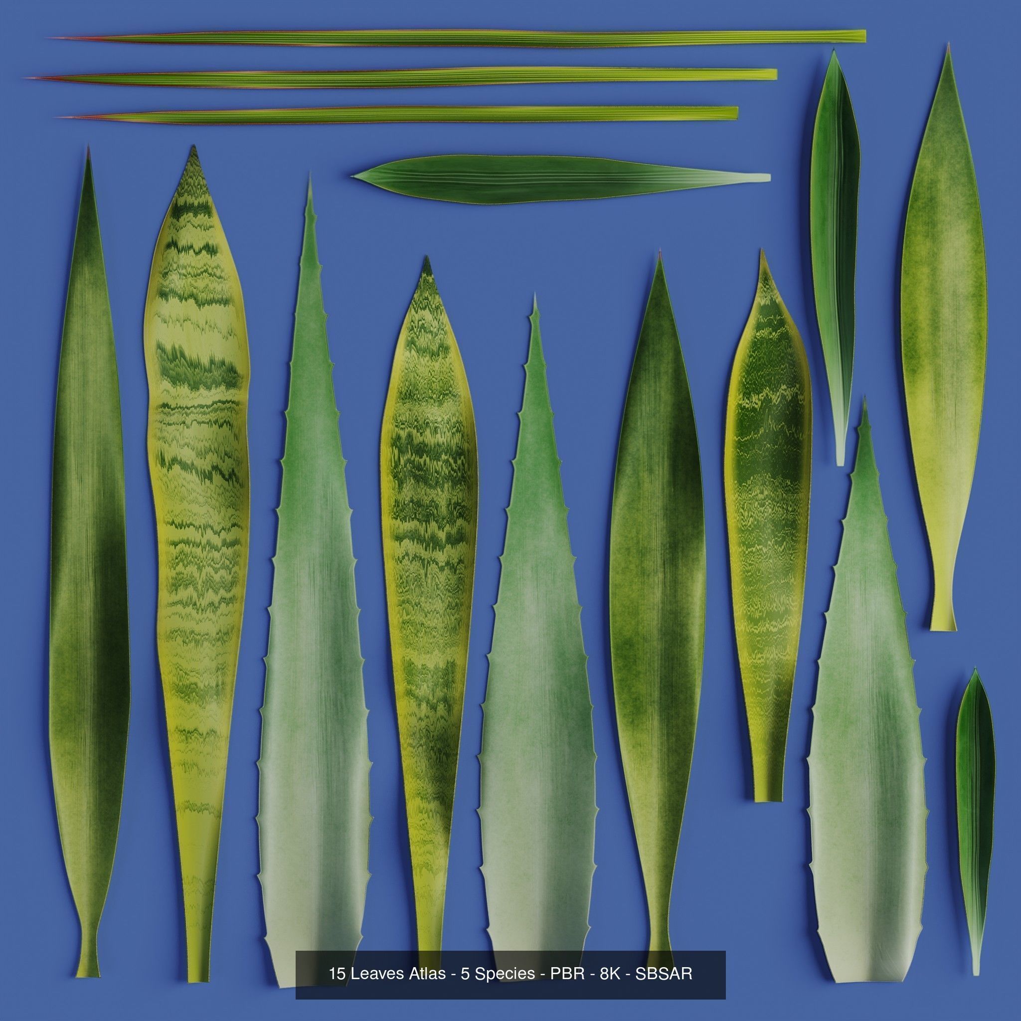 Hemase MegaPack - One purchase unlimited access 3D Model Collection_88