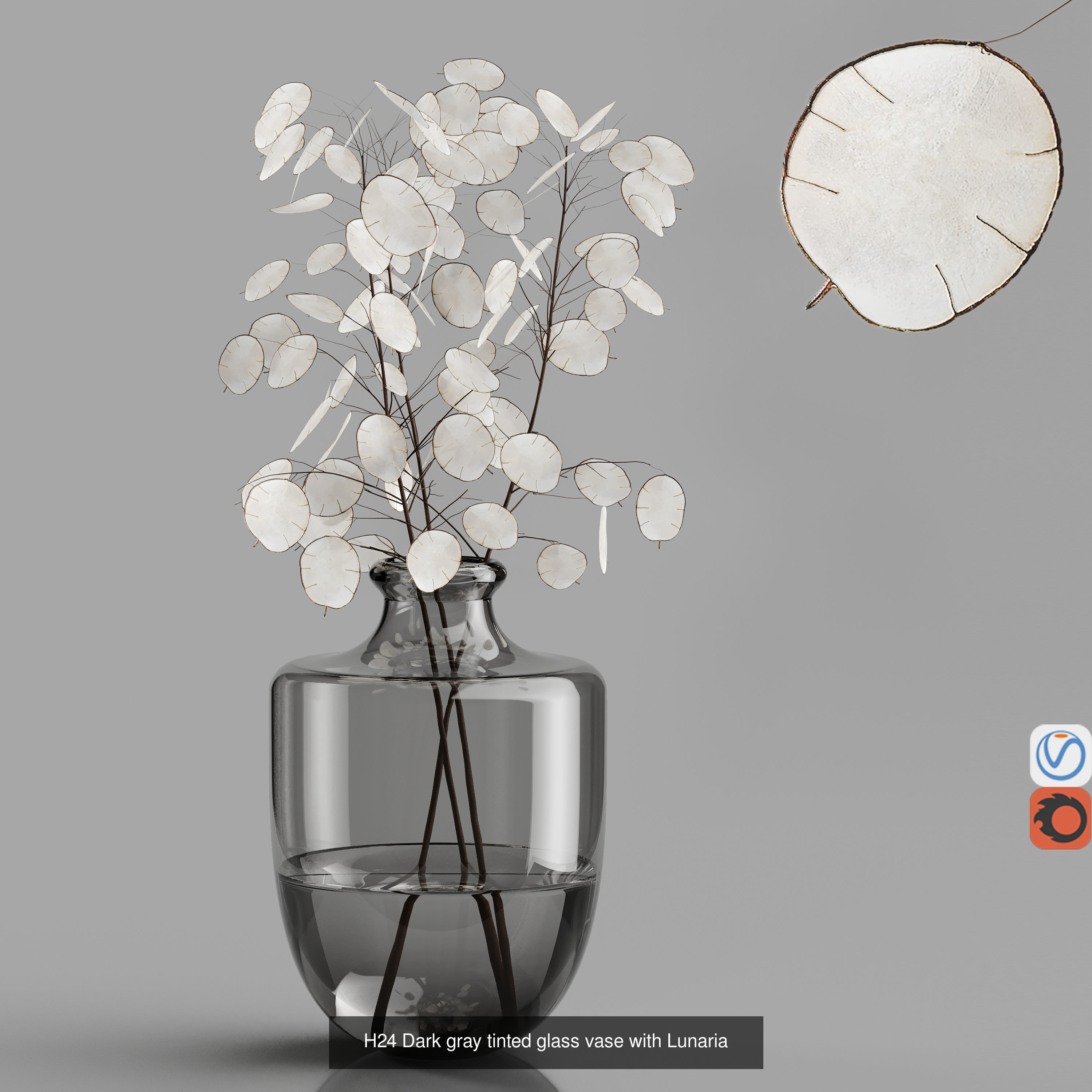 Hemase MegaPack - One purchase unlimited access 3D Model Collection_130