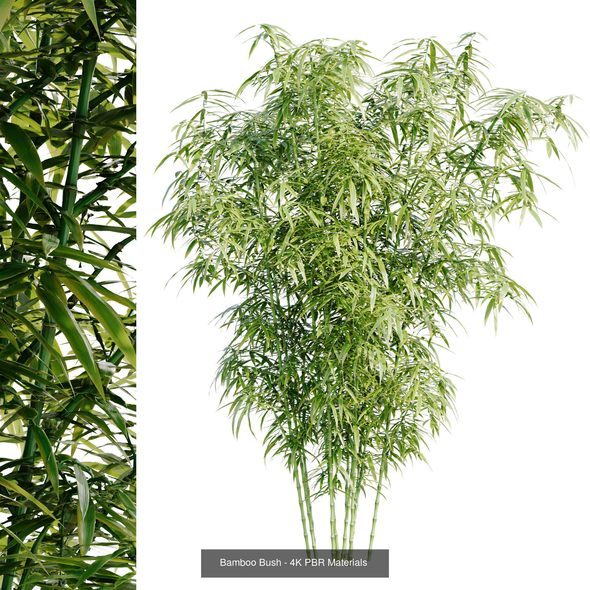 Hemase MegaPack - One purchase unlimited access 3D Model Collection_61