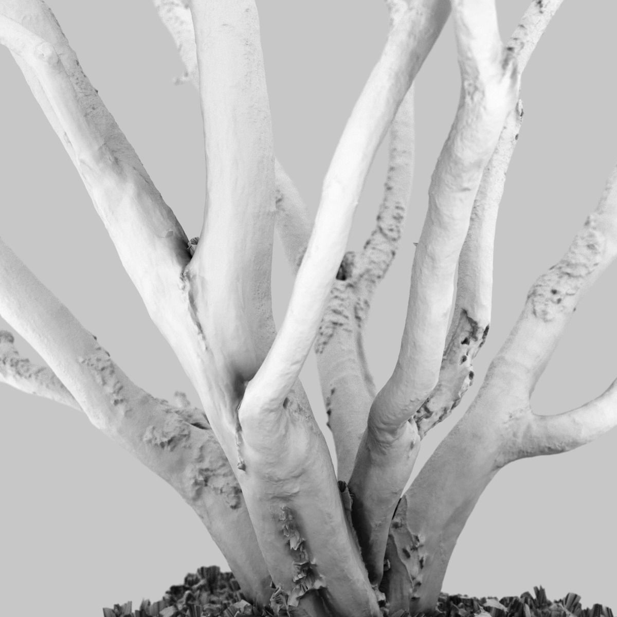 Realistic 3D scanned tree reference Low-poly 3D model_13