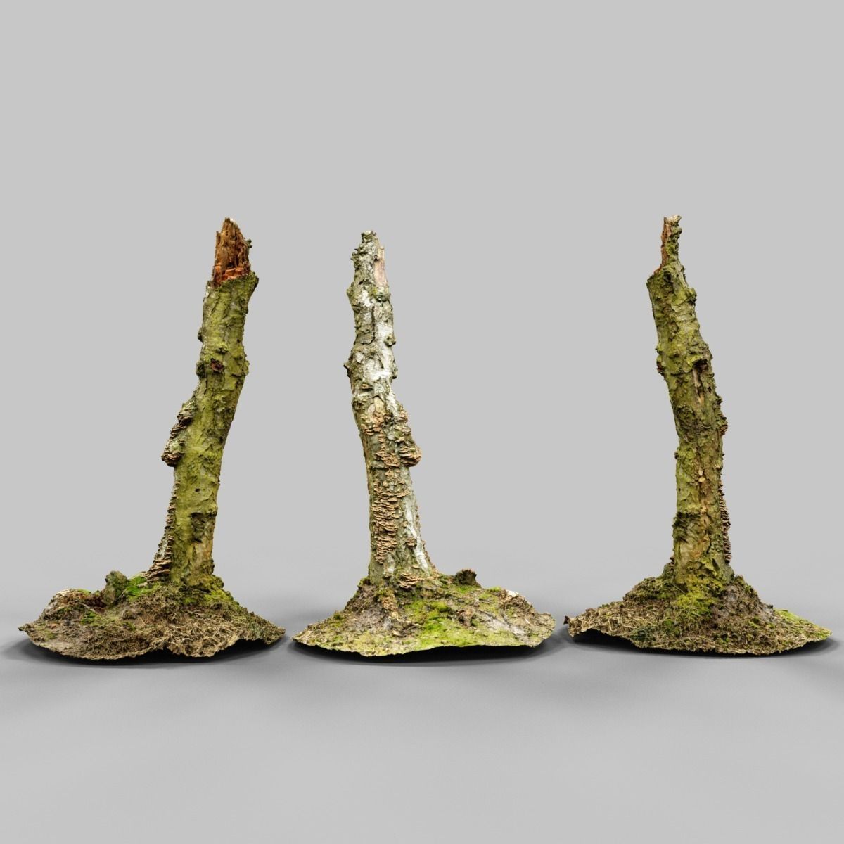 White Tree Stump Broken Low-poly 3D model_10