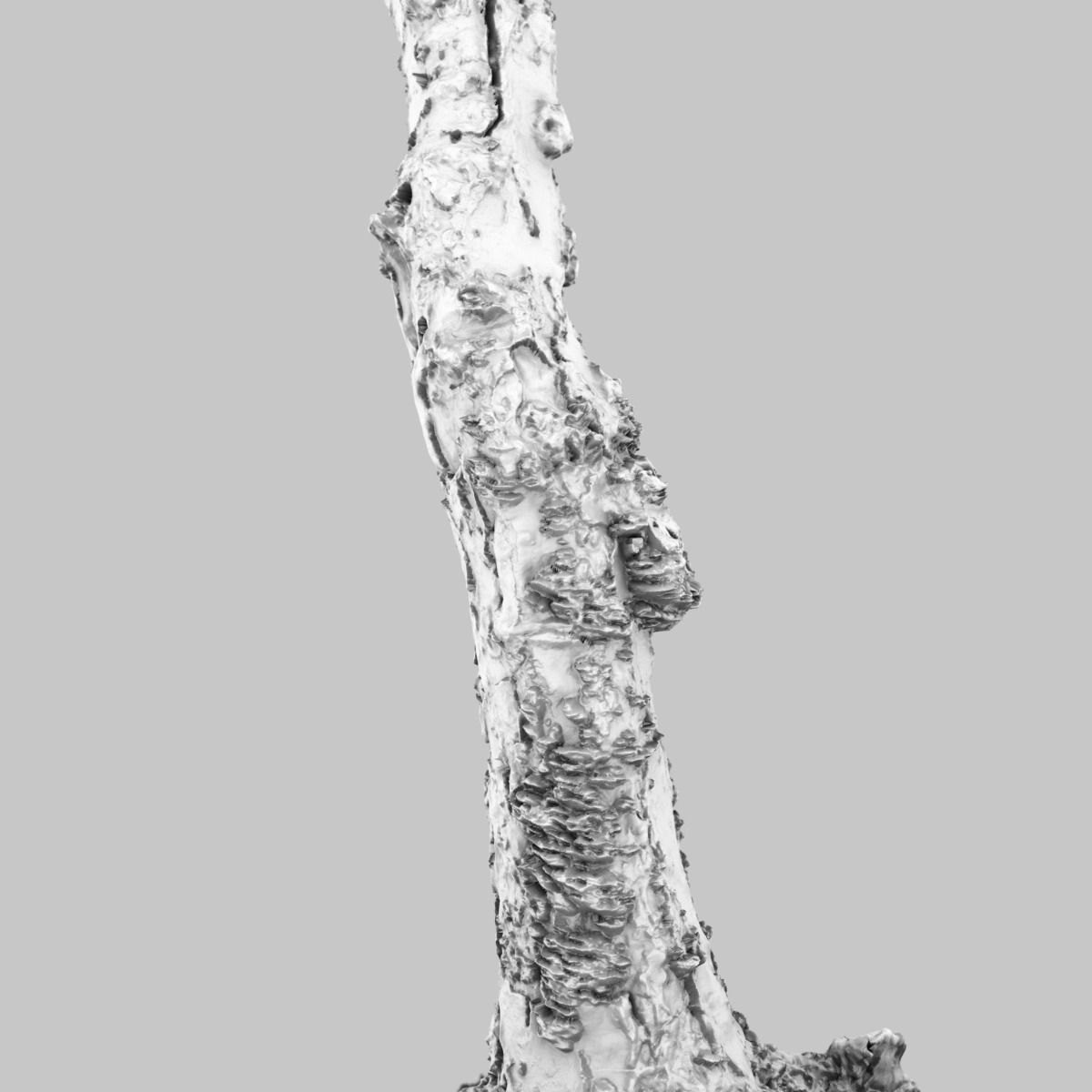 White Tree Stump Broken Low-poly 3D model_8