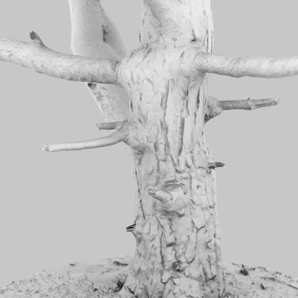 Dancing Tree Photorealistic Asset Low-poly 3D model_12