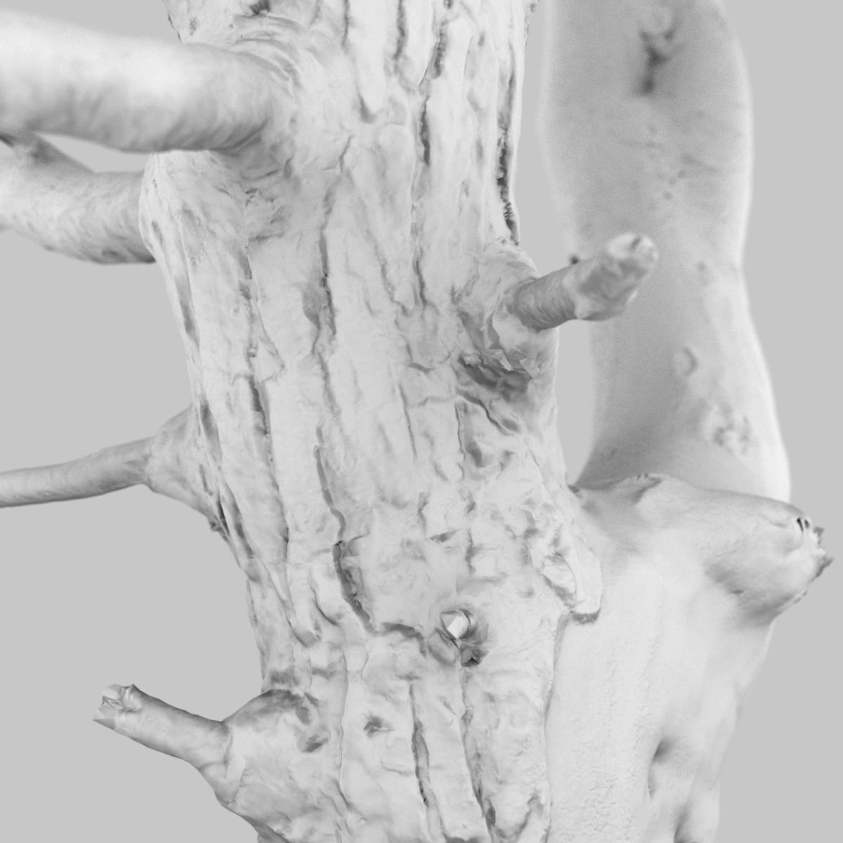 Dancing Tree Photorealistic Asset Low-poly 3D model_13