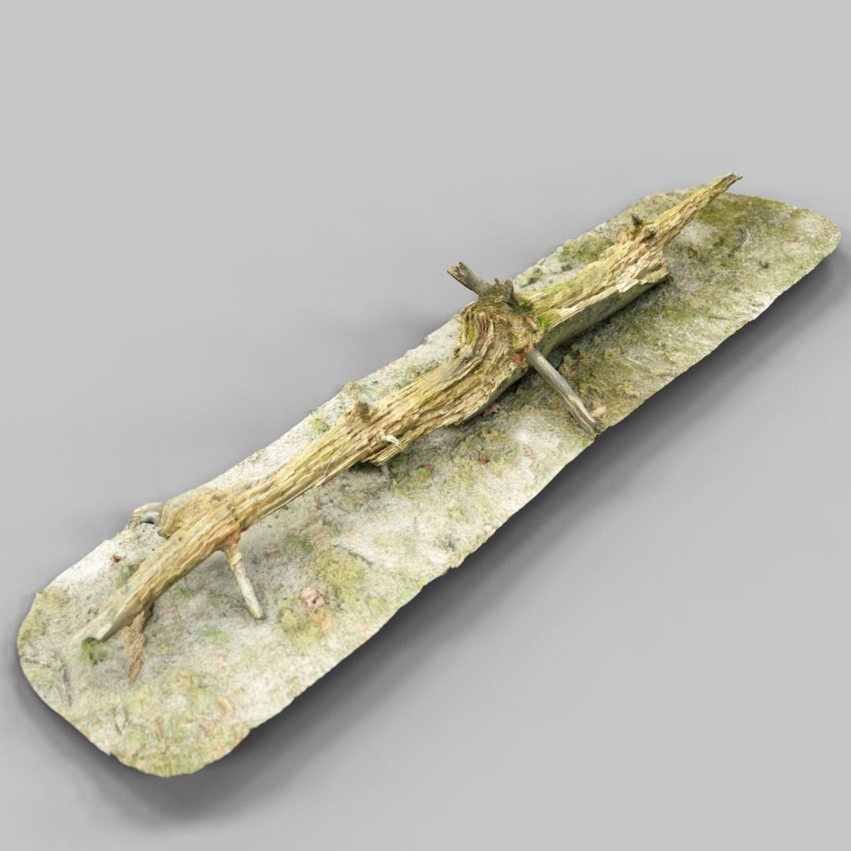 Dead tree branch on floor Low-poly 3D model_5