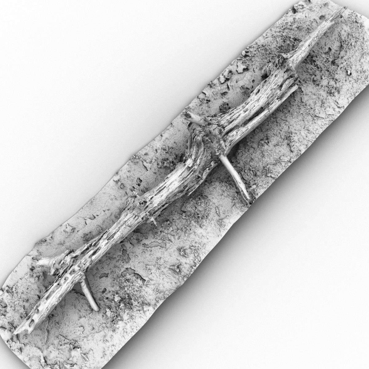 Dead tree branch on floor Low-poly 3D model_4