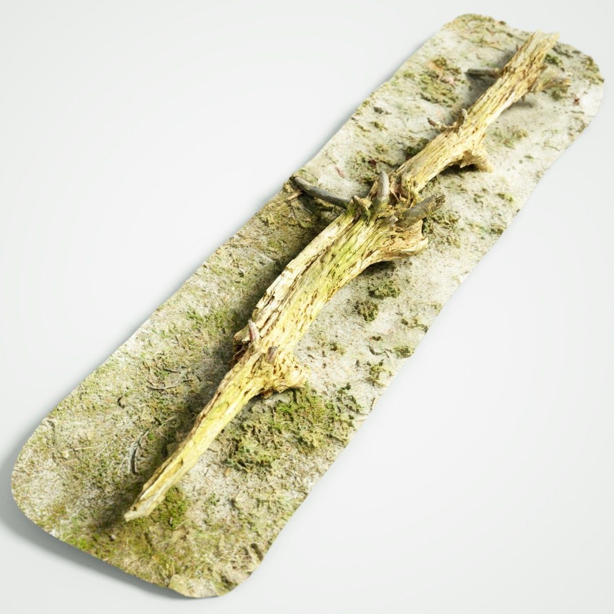 Dead tree branch on floor Low-poly 3D model_13