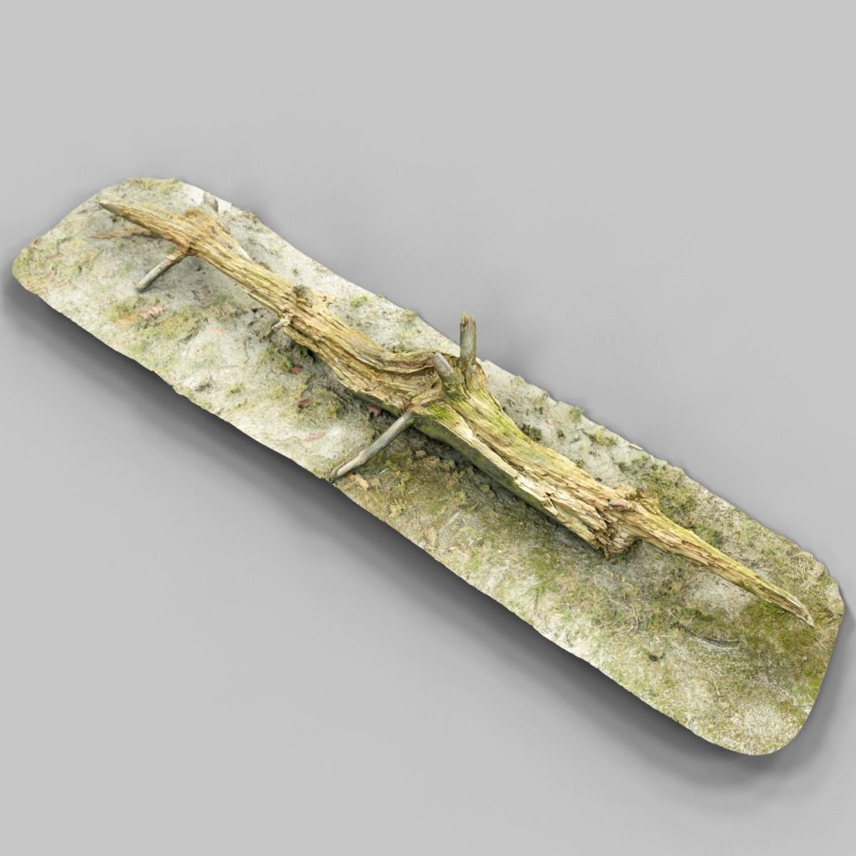 Dead tree branch on floor Low-poly 3D model_9