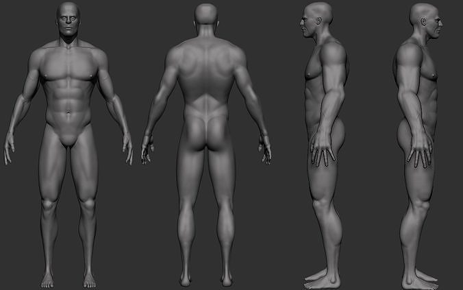 Male human 3D model