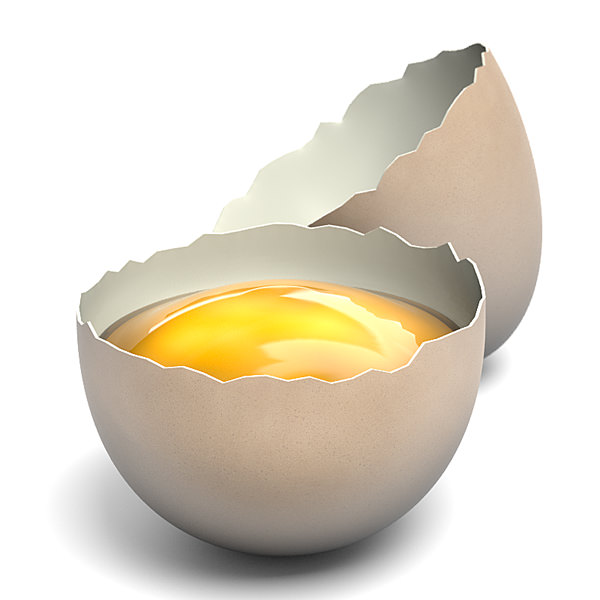 Intact and broken eggs 3D model_2