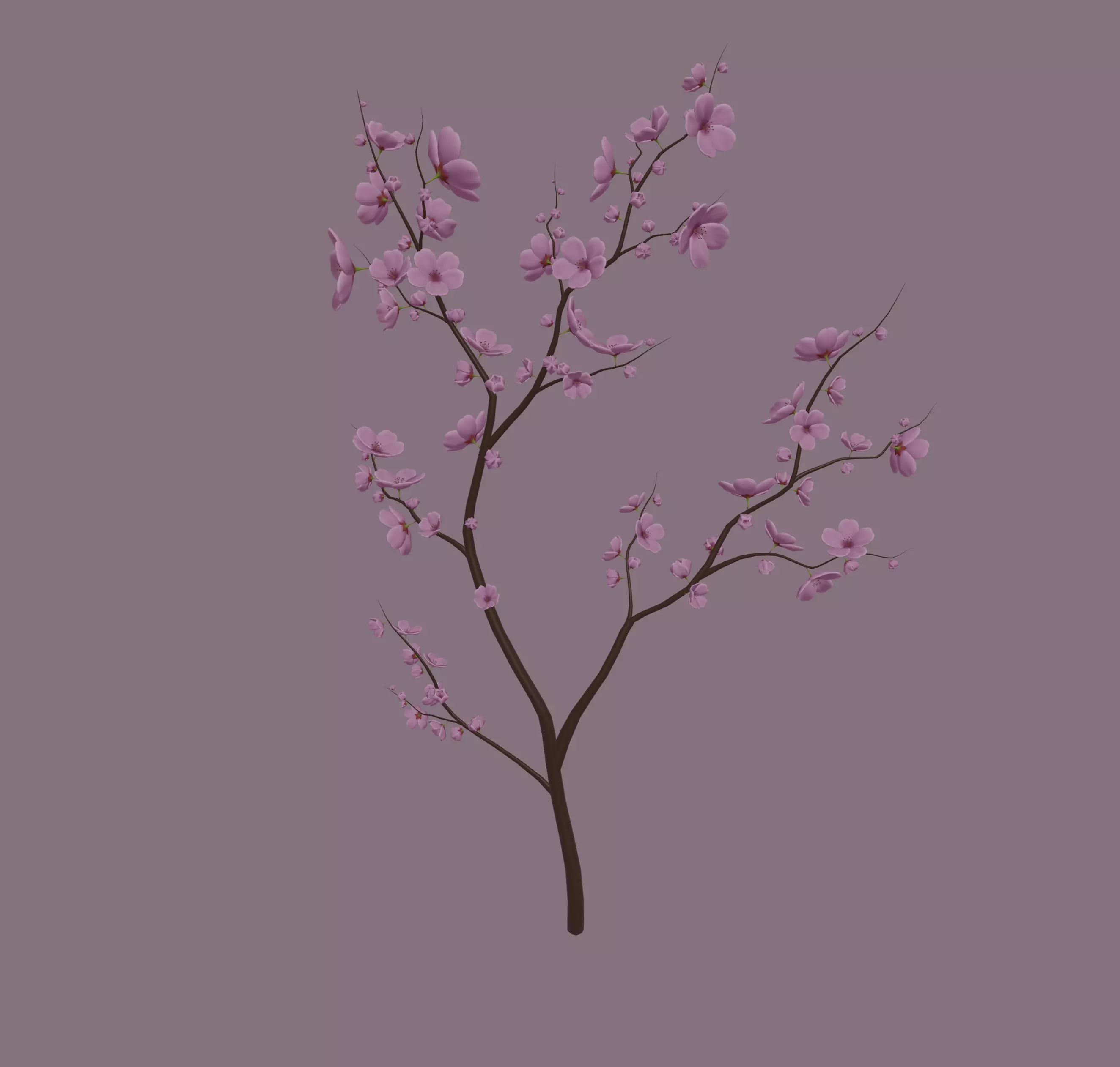 Cherry Blossom 3D model_0