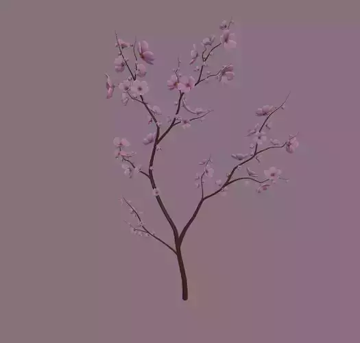 Cherry Blossom 3D model