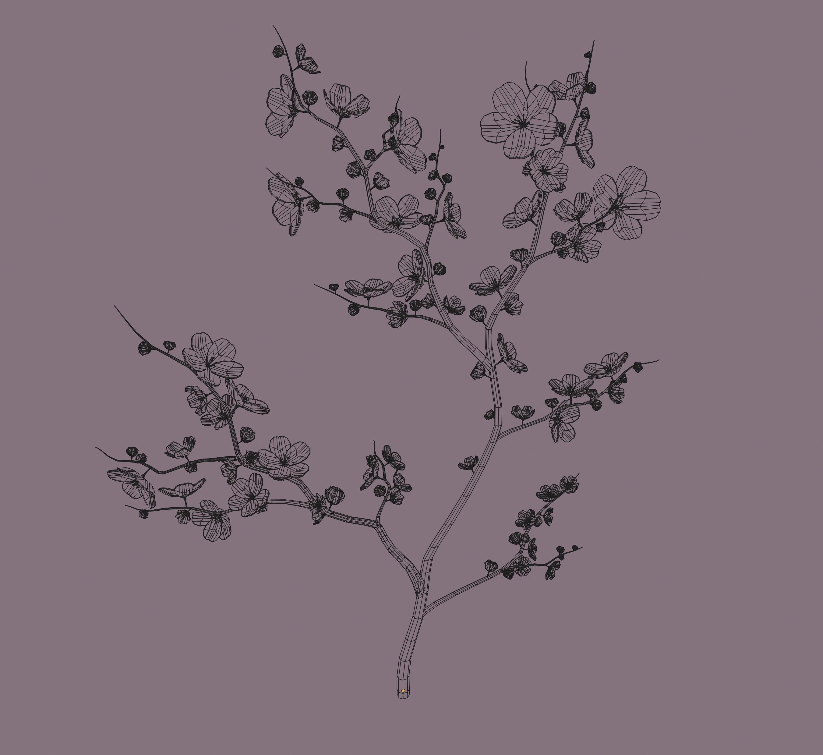 Cherry Blossom 3D model_12